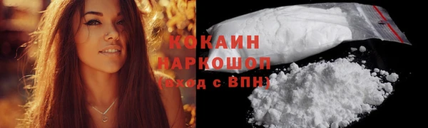 крисы Ветлуга