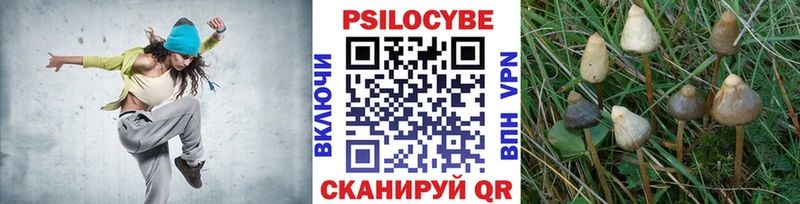 купить  сайты  Владивосток  Псилоцибиновые грибы прущие грибы 