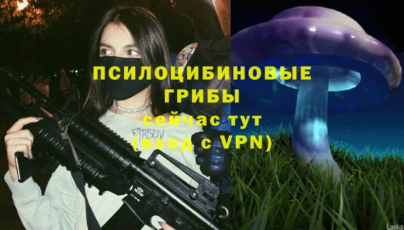 Галлюциногенные грибы Cubensis  Владивосток 