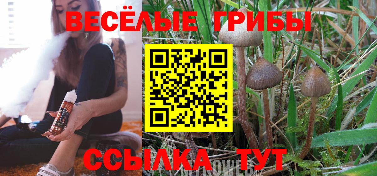 Владивосток  купить закладку  Вход с VPN  Псилоцибиновые грибы MAGIC MUSHROOMS 