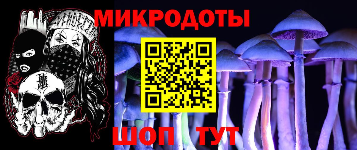 Галлюциногенные грибы Psilocybine cubensis Владивосток