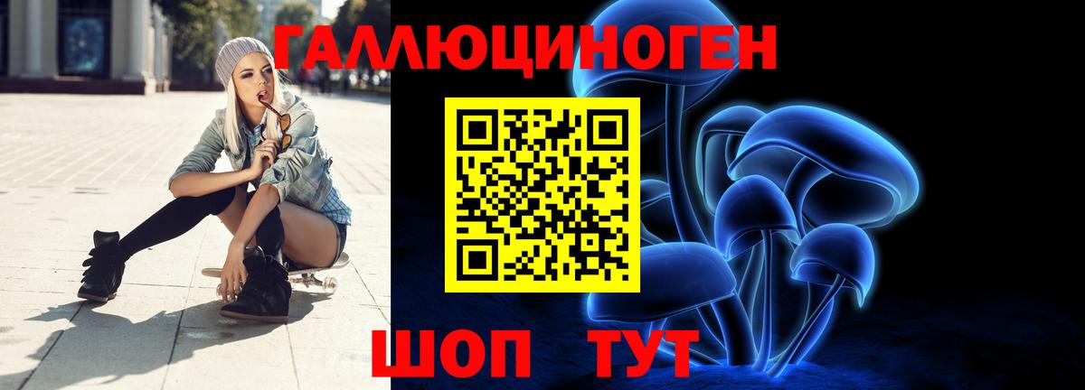 Псилоцибиновые грибы прущие грибы  Псилоцибиновые грибы Psilocybe  Владивосток 