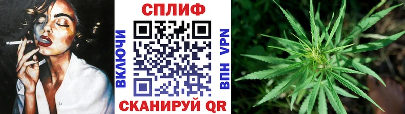 OMG как войти  где купить наркоту  Владивосток  Бошки Шишки Amnesia 